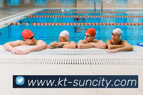 太阳城网站平台生态图